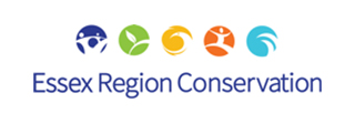 Essex Region Conservation