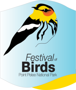 Festival of Birds